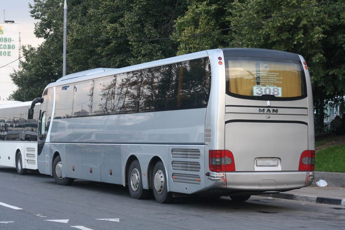 R08 Lion's Coach